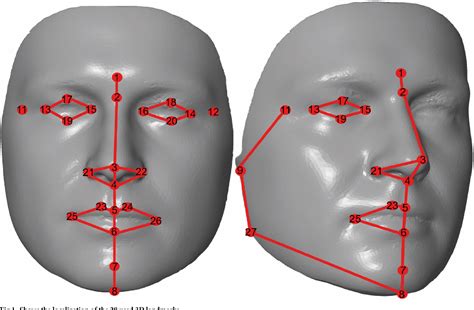 Figure 1 From The Effect Of Sex And Age On Facial Shape Directional