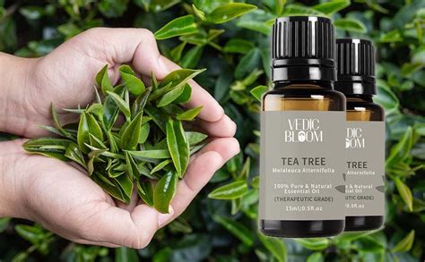 Foxy In Buy Vedic Bloom Tea Tree Oil Ml Online In India On Foxy