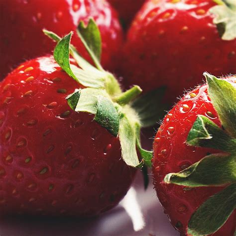 Fotos gratis Alimentos naturales fresa Fresas rojo planta Súper