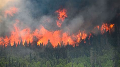 Canadian Wildfire Emissions Hit Record High As Smoke Reaches European