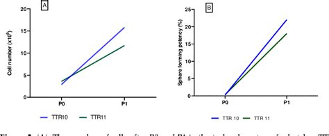 Figure From Optimization Of The Production Process Of Clinical Grade