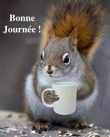 Bonne Journée bonnejournee ecureuil cafe tasse mignon marrant