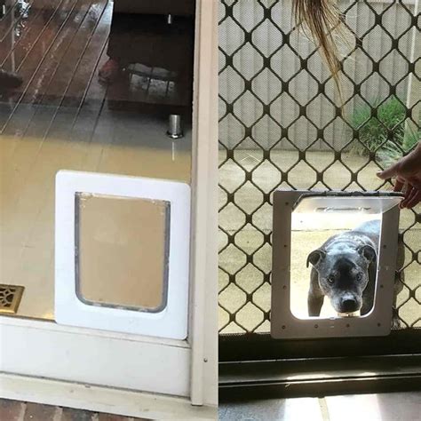 Diy Dog Door In Storm Door - 19 Homemade Dog Door Plans You Can Diy Easily - It's easiest to ...