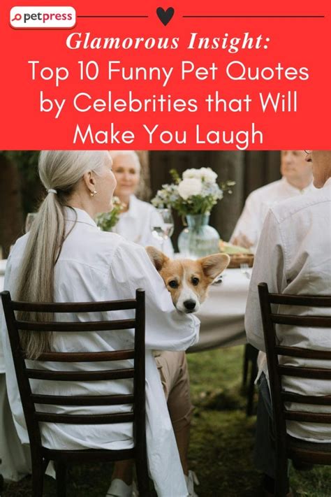 Funny Pet Quotes by Celebrities that Will Make You Laugh - PetPress