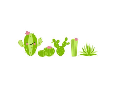 Cactus Border