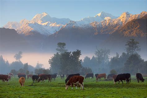 I love seeing the Southern Alps every morning even... - Mother Nature's ...