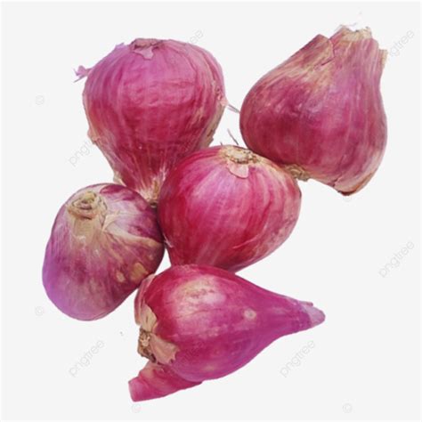 Bawang Merah PNG Image Bawang Merah Transparan Onion Herb