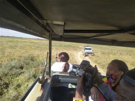 Nairobi National Park Half Day Game Drive Getyourguide