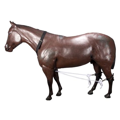 Stc Nylon Horse Breeding Hobbles Ebay