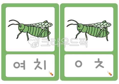 가을, 곤충, 어린이집, 유치원, 활동자료, 사진,이미지,일러스트,캘리그라피 - 은이쌤작가