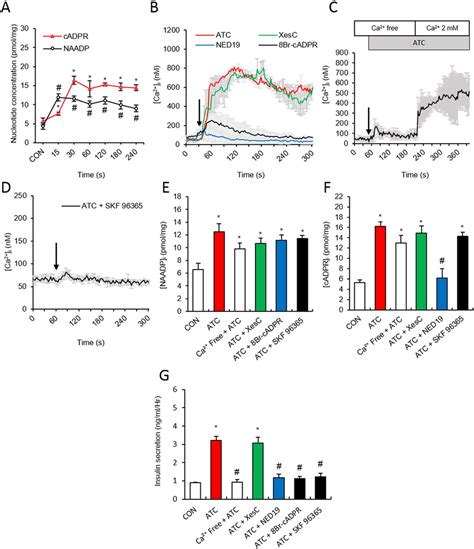 ATC Induced NAADP And CADPR Formation And Involvement Of SOCE In