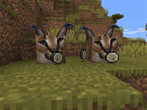 Floppa And Dumplings Minecraft Mods CurseForge