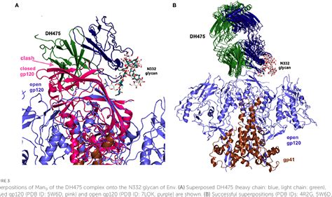 Figure 3 From Analysis Of Two Cooperating Antibodies Unveils Immune