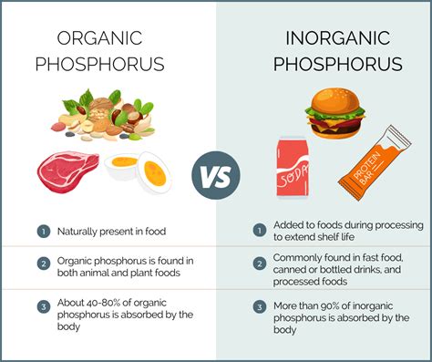 Do I Need To Avoid Foods High In Phosphorus? - Healthy Mission Dietitian