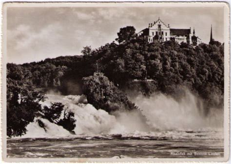 Rheinfall Mit Schloss Laufen Kaufen Auf Ricardo