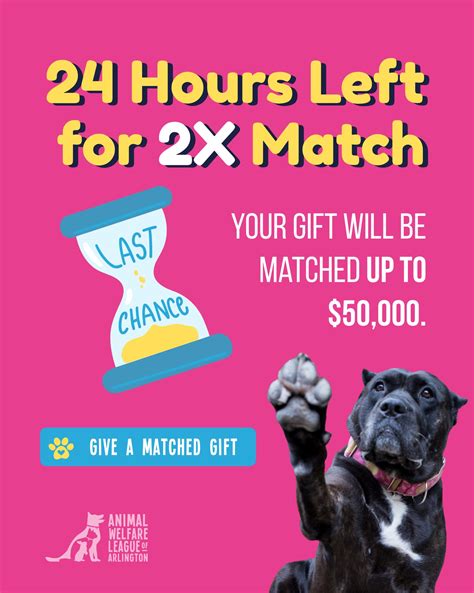 animal welfare league of arlington virginia 4