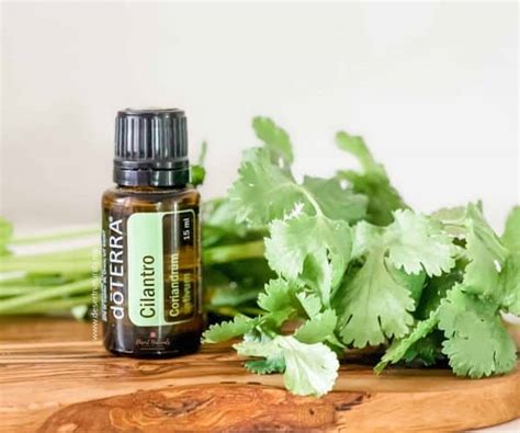 Doterra Cilantro Essential Oil 15ml Desert Naturals Essential Oils