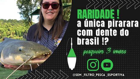 Raridade A Unica Pirarara Dentes Do Brasil Pesqueiro Irm Os