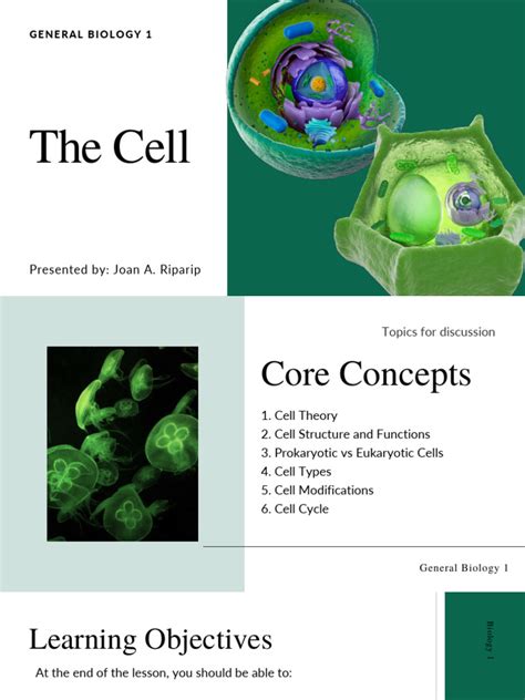 Cell Theory Structure | PDF | Cell (Biology) | Endoplasmic Reticulum