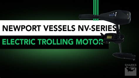 5 Best Spot-Lock Trolling Motors in 2023 - sharksinfo.com