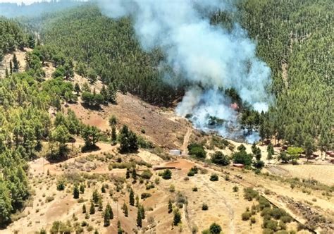 Conato De Incendio En Tejeda Gran Canaria Que Por El Momento Escapa A