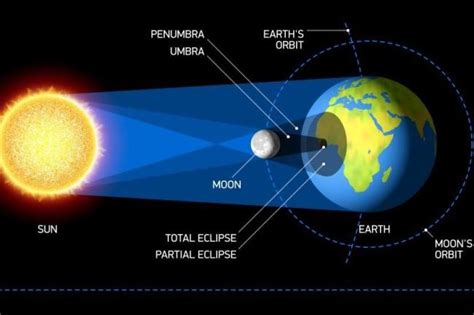 Astronomy Professor Talks Eclipses and Their Role in Our Solar System ...