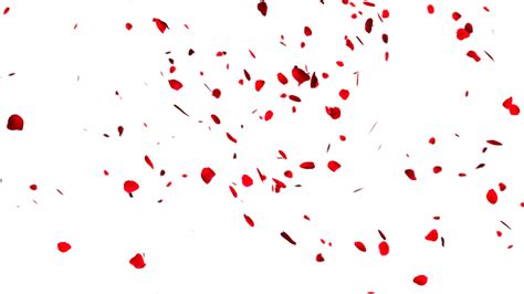 Red Rose Petals for Romantic Floral Decor Free PNG | PNG All