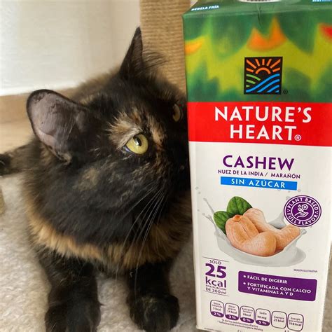 Nature S Heart Bebida De Cashews Sin Azucar Reviews Abillion