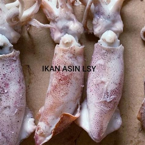 Jual Ikan Asin Cumi Rebus Sotong Rebus Size Jumbo 500gr Shopee Indonesia