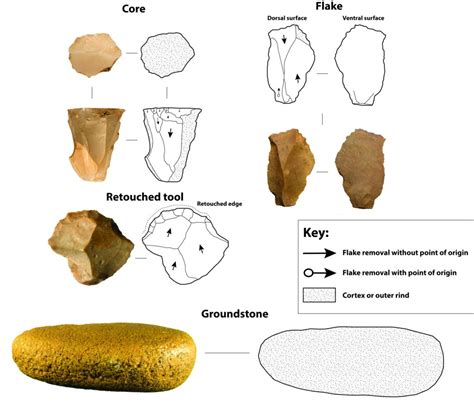 Stone Tools: A window into our cultural origins - P5 Projects