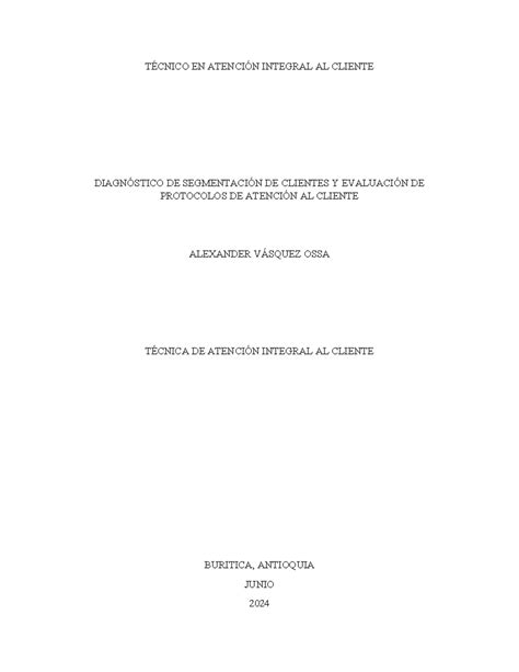 Documento Escrito Diagn Stico Sobre Los Segmentos Y Clientes De La