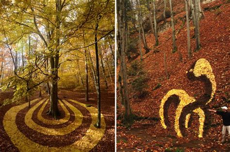 Andy Goldsworthy Leaves In River