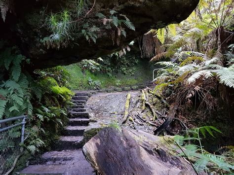 Grand Canyon Walking Track Blue Mountains National Park Evans