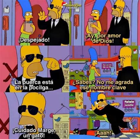 Pin de Ariadne Durán en Memes xD Los simpson frases Gatos Instagram