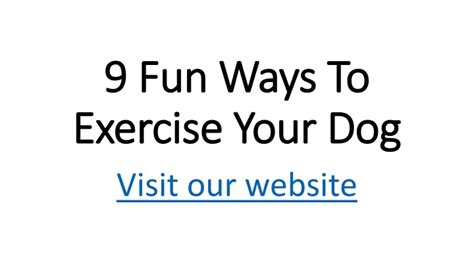 Ppt 9 Fun Ways To Exercise Your Dog Powerpoint Presentation Free