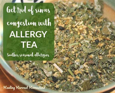 Best Easy Allergy And Sinus Soothing Herbal Tea Recipe — All Posts