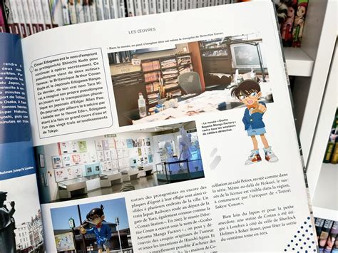 Avis Third Editions Voyagez Au Japon Sur Les Terres Du Manga