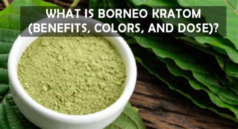 What Is Borneo Kratom Benefits Colors And Dose