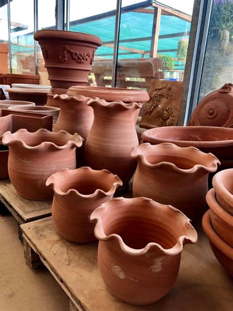 Vasi In Terracotta Vivaio Agroverde