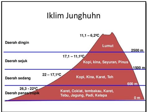 X 36 Iklim Menurut Schmidt Ferguson Oldeman Dan Junghuhn Mata