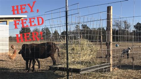 Diy Hay Feeder For Our New Sheep Youtube