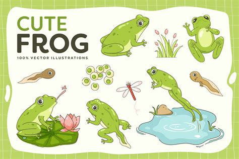 Frog Illustrations Set [AI, EPS, PNG] - DesignerCandies