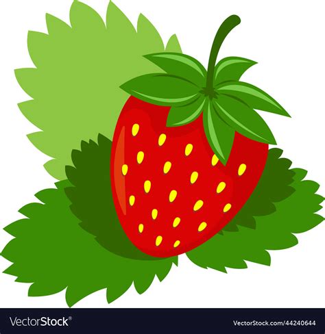 Strawberry Royalty Free Vector Image - VectorStock