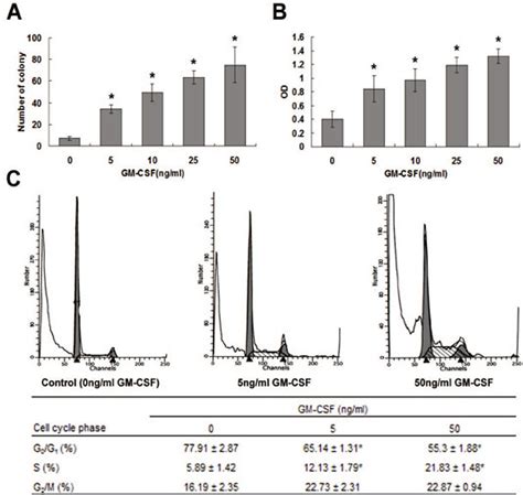 Effects Of Gm Csf On Colony Formation Proliferation And Cell Cycle