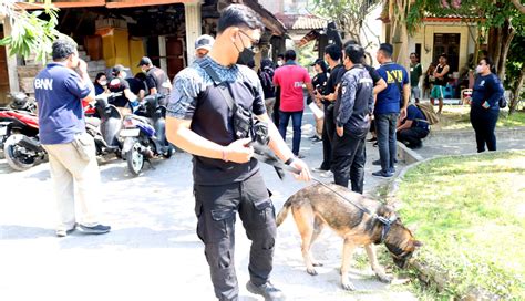 NUSABALI BNN Badung Sasar Kos Kosan Elite Di Kelurahan Kuta