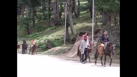 Easy Horse Riding Video By Tourists At Pahalgam Kashmir India Youtube