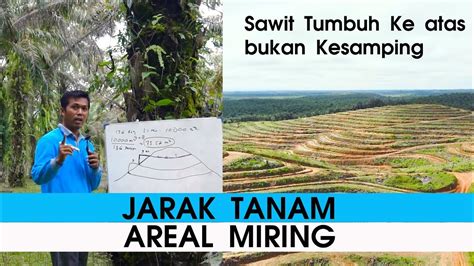 Cara Pancang Jarak Tanam Lahan Miring Atau Berbukit Kelapa Sawit