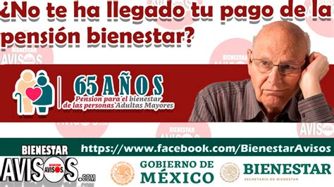 No Te Ha Llegado Tu Pago De La Pensi N Bienestar Noviembre