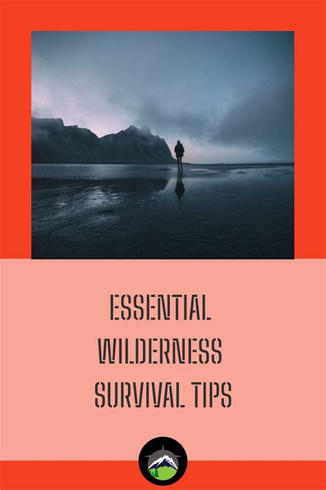 The Basic Outdoor Survival Skills Everyone Should Know Artofit