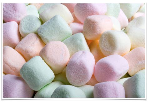 MINI-MARSHMALLOW-MADNESS | Mini-Mi